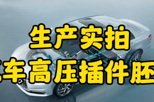 生產實拍~汽車高壓插件胚體